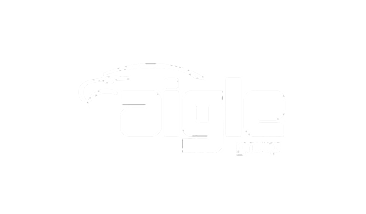 Aigle-logo